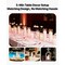 Tall Cylinder Glass Vases and Pillar Candle Holders Table Decor